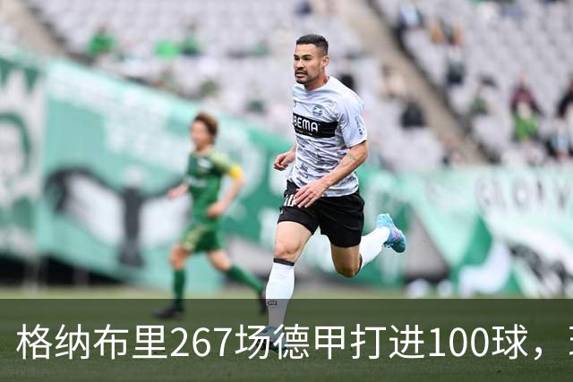 格纳布里267场德甲打进100球，现役德甲球员中第三位百球先生